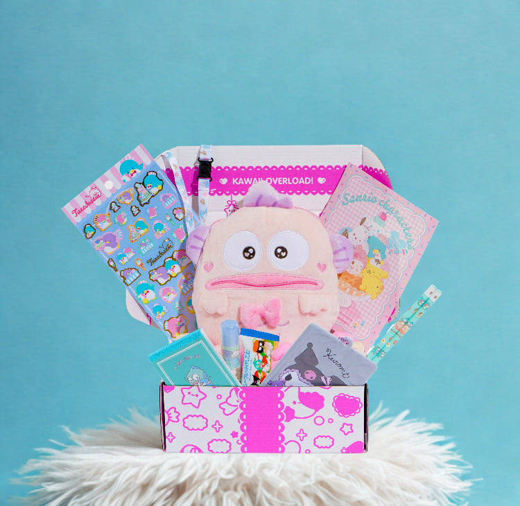 Past Boxes | Kawaii Things Included Before!
