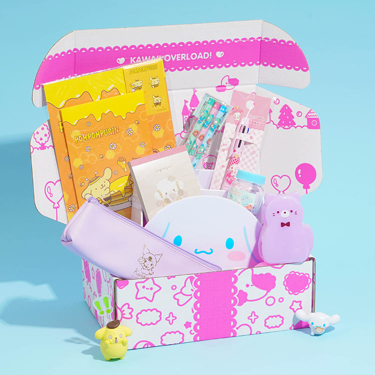 Past Boxes | Kawaii Things Included Before!
