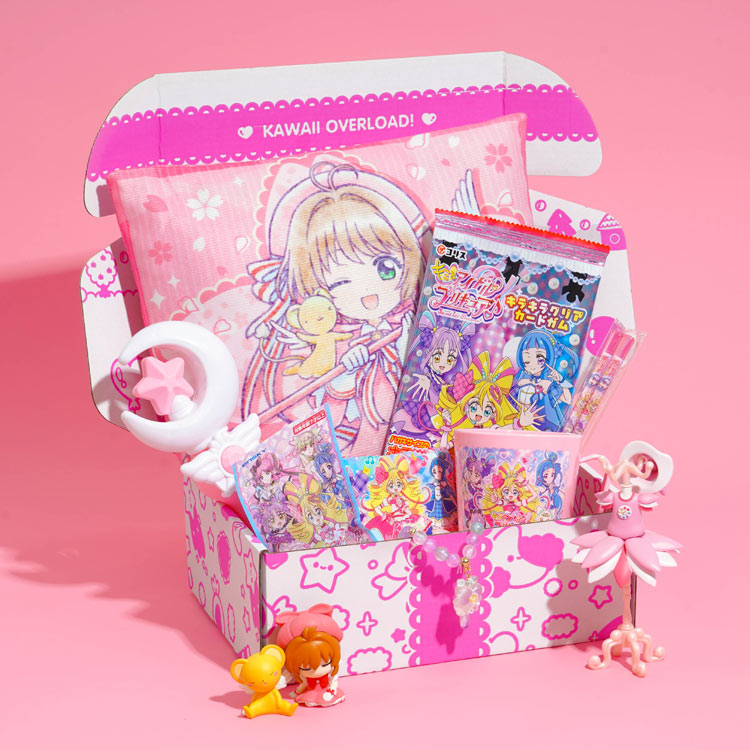 Past Boxes | Kawaii Things Included Before!