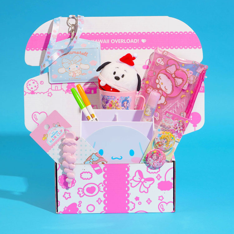 Past Boxes | Kawaii Things Included Before!