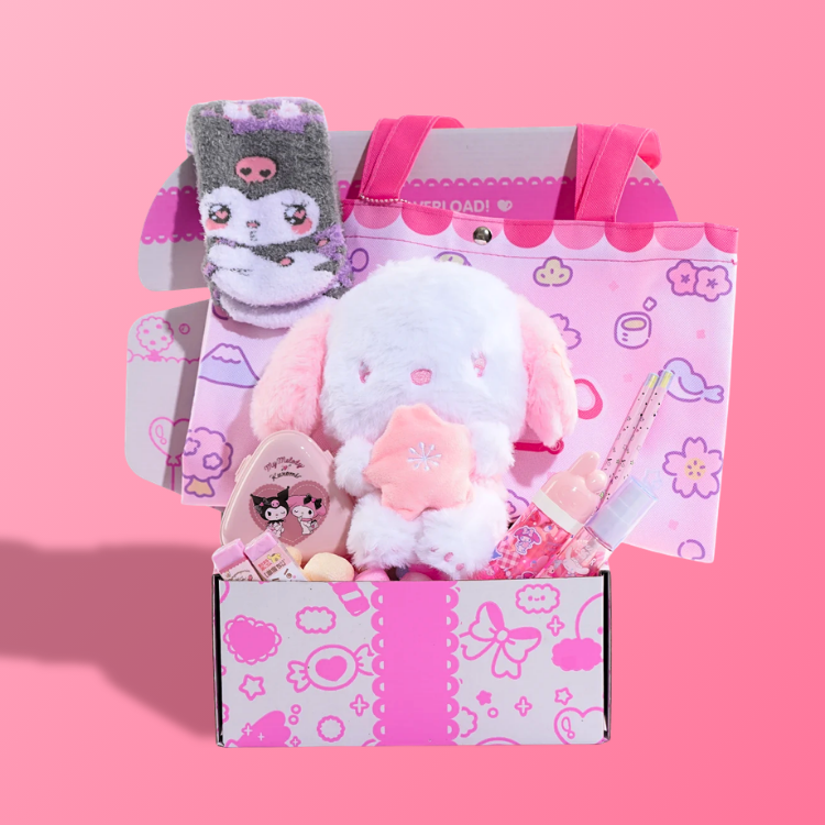 Past Boxes | Kawaii Things Included Before!